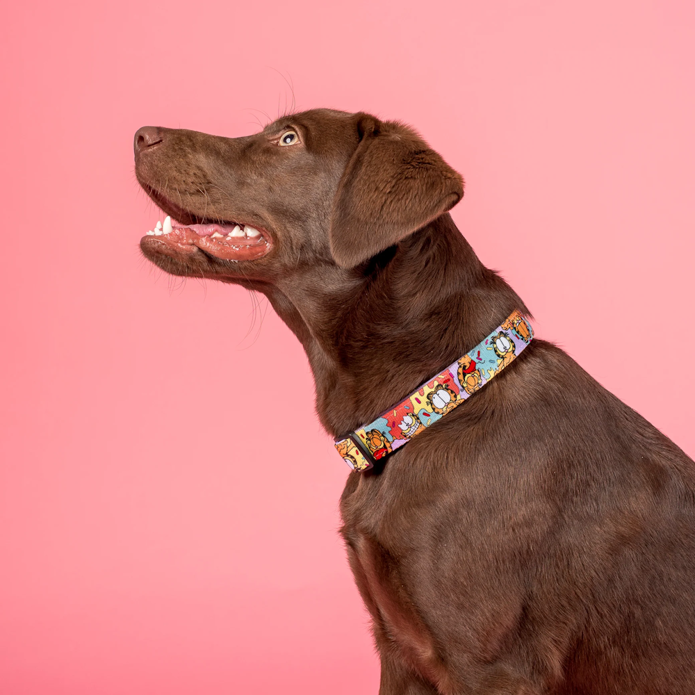 Pablo & Co: As Sweet as Garfield Dog Collar