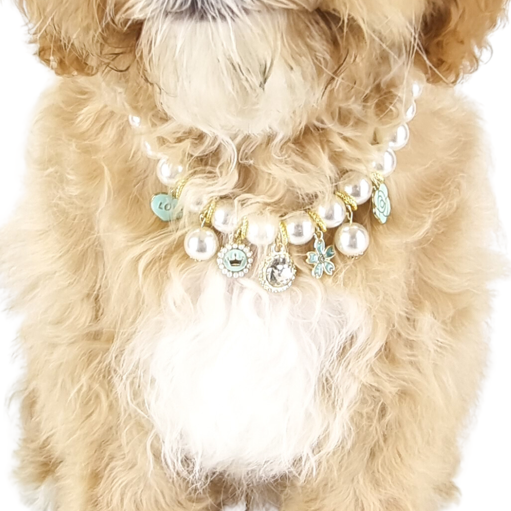 Audrey Pearl Dog Necklace - Aqua