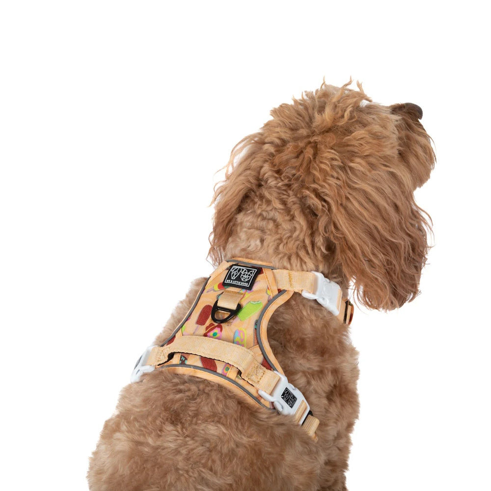Big & Little Dogs Aussie Faves All Rounder Harness