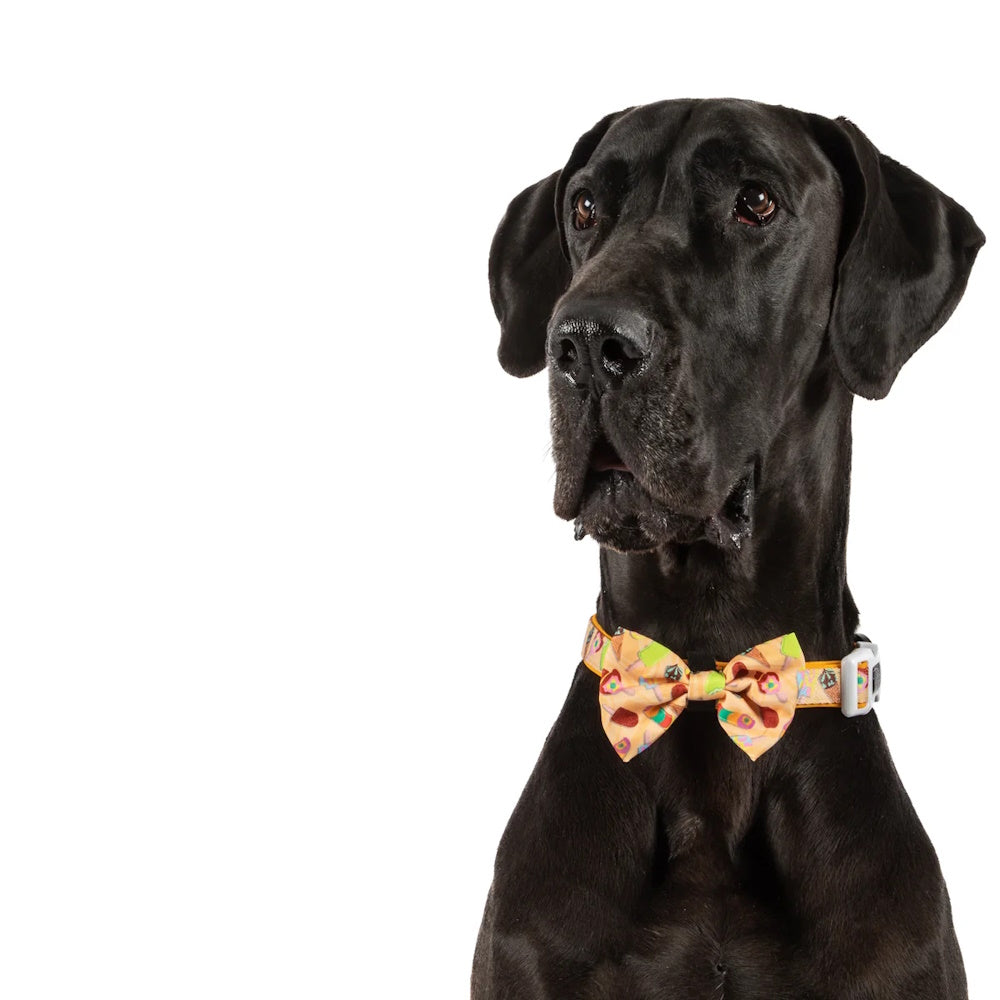 Big & Little Dogs Aussie Faves Collar & Bow Tie
