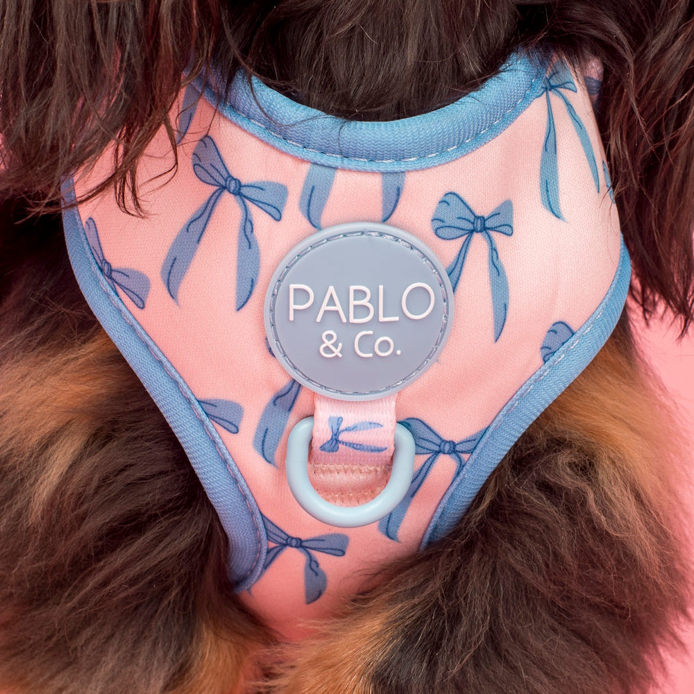 Pablo & Co Baby Blue Bows Adjustable Harness