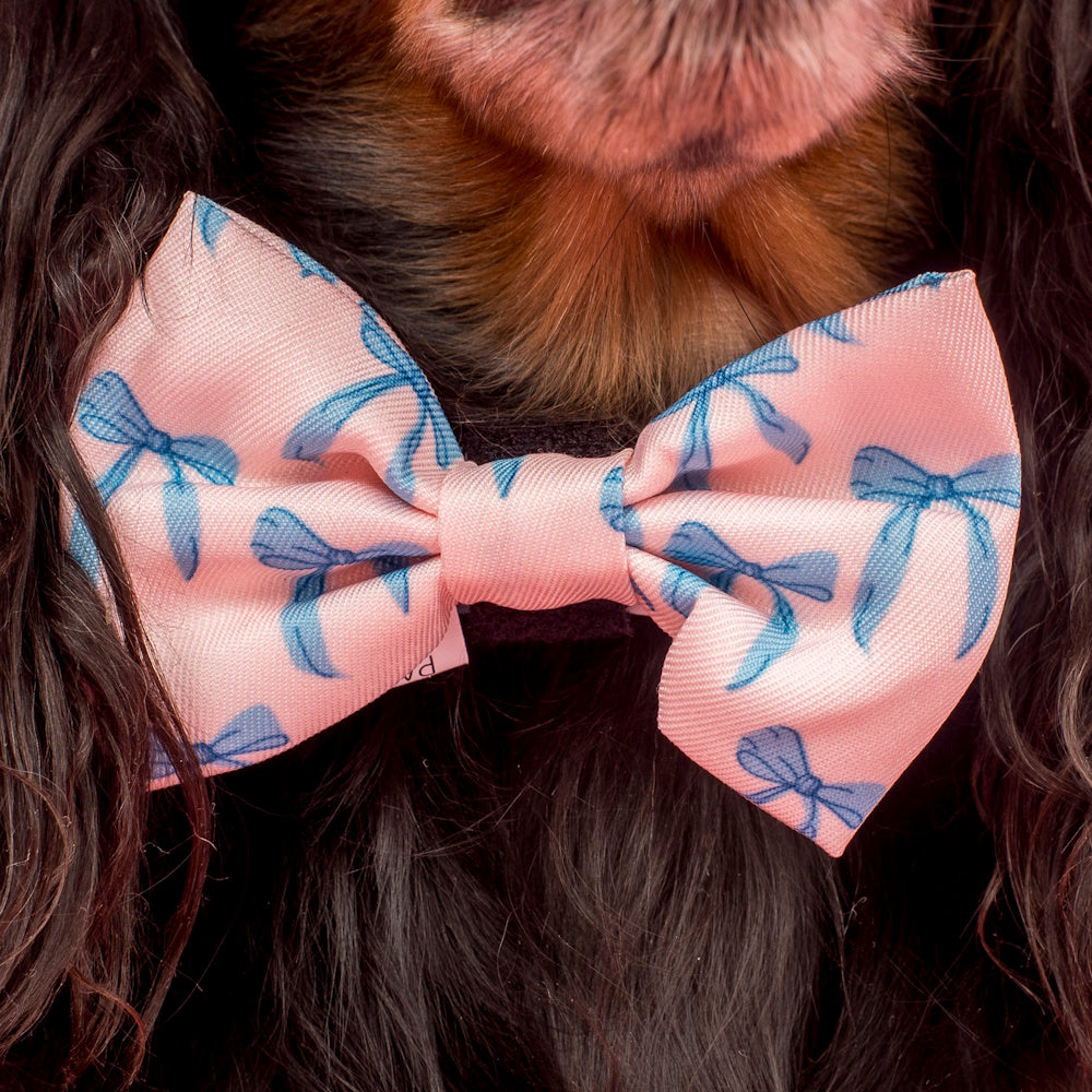Pablo & Co Baby Blue Bows Bow Tie