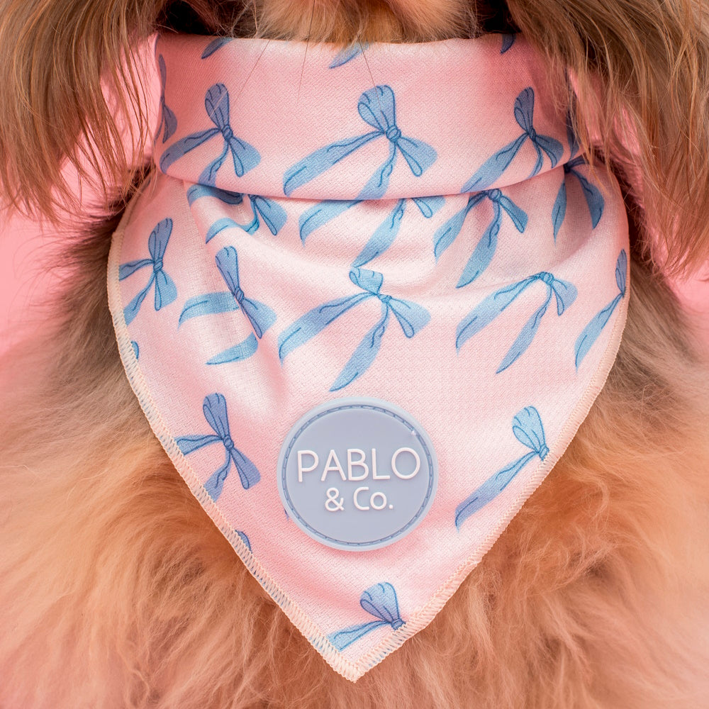 Pablo & Co Baby Blue Bows Bandana