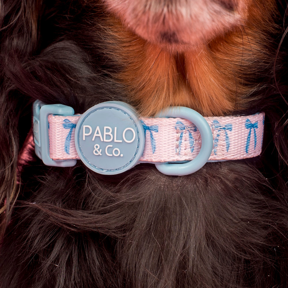 Pablo & Co Baby Blue Bows Dog Collar