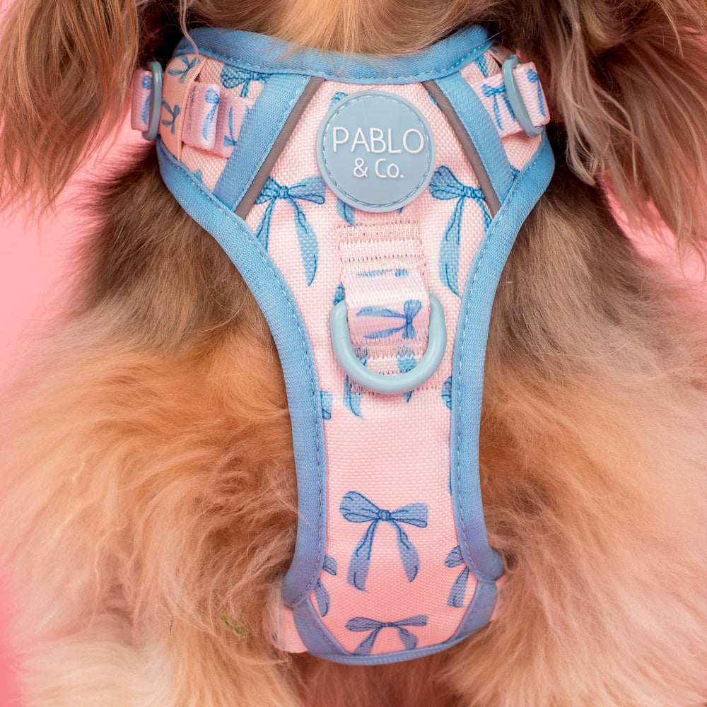 Pablo & Co Baby Blue Bows No Pull Harness