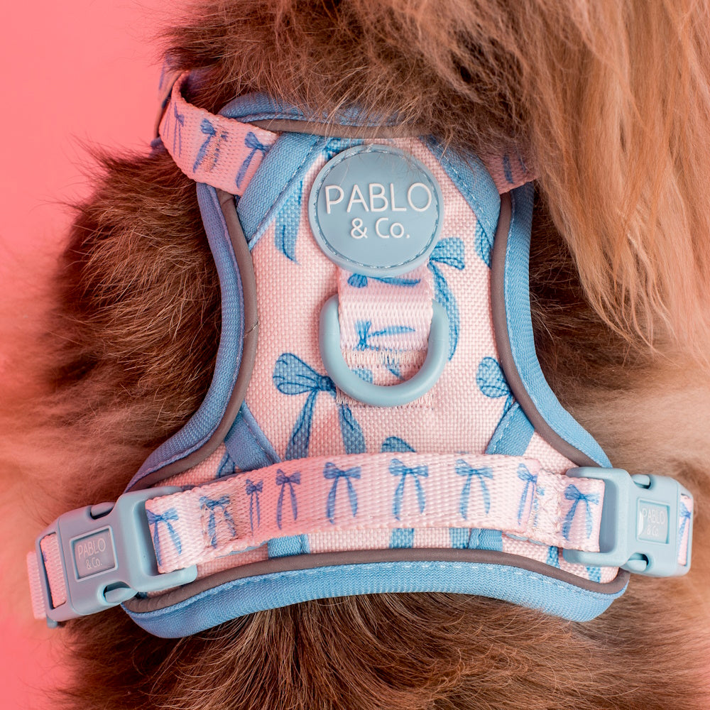 Pablo & Co Baby Blue Bows No Pull Harness