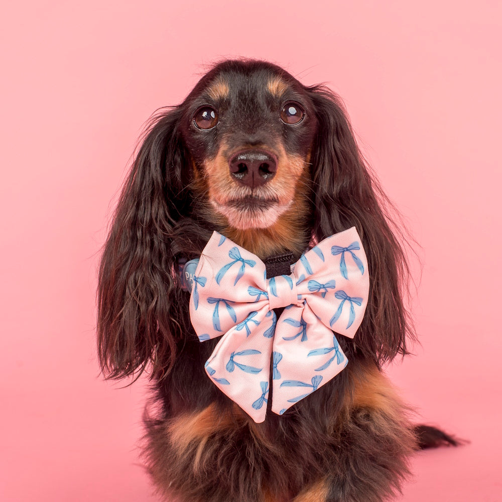 Pablo & Co Baby Blue Bows Sailor Bow