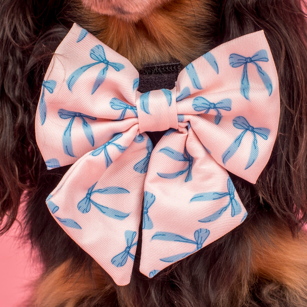 Pablo & Co Baby Blue Bows Sailor Bow