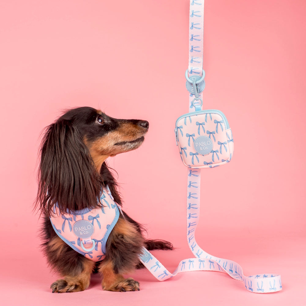 Pablo & Co Baby Blue Bows Treat Pouch