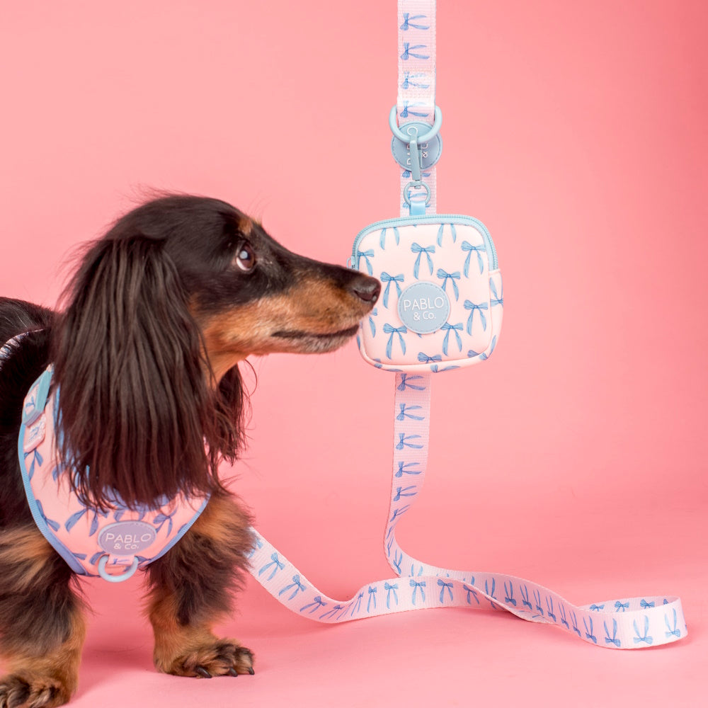 Pablo & Co Baby Blue Bows Treat Pouch