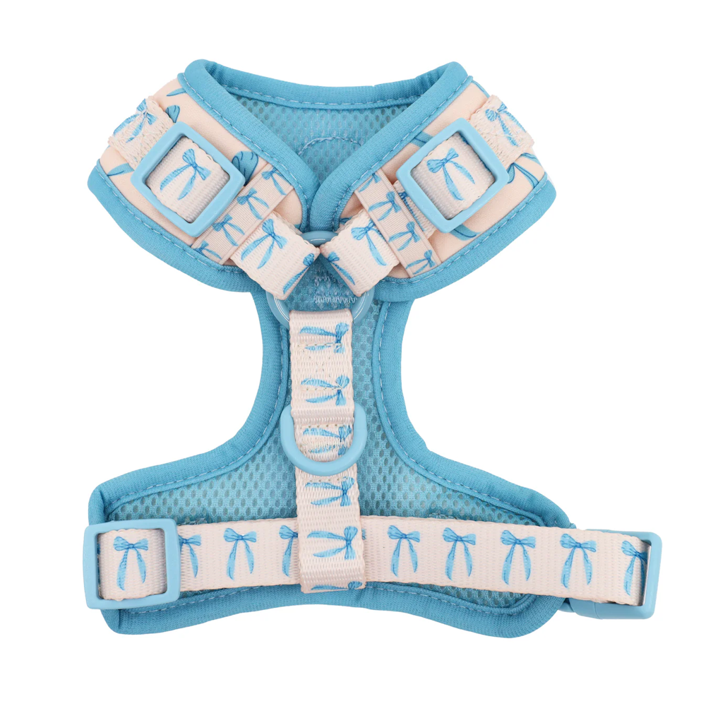 Pablo & Co Baby Blue Bows Adjustable Harness