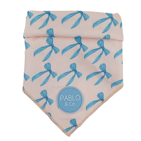 Pablo & Co Baby Blue Bows Bandana