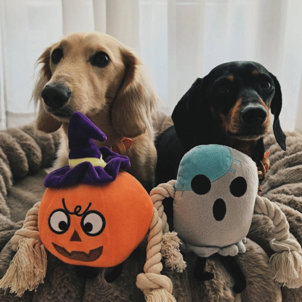 Ghosty Boo Rope Plush Dog Toy