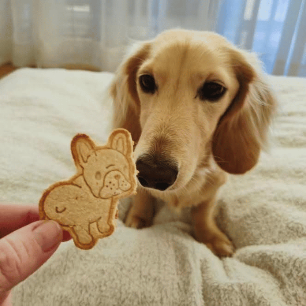 Dogs Cookie Cutter Embosser Set 6pcs