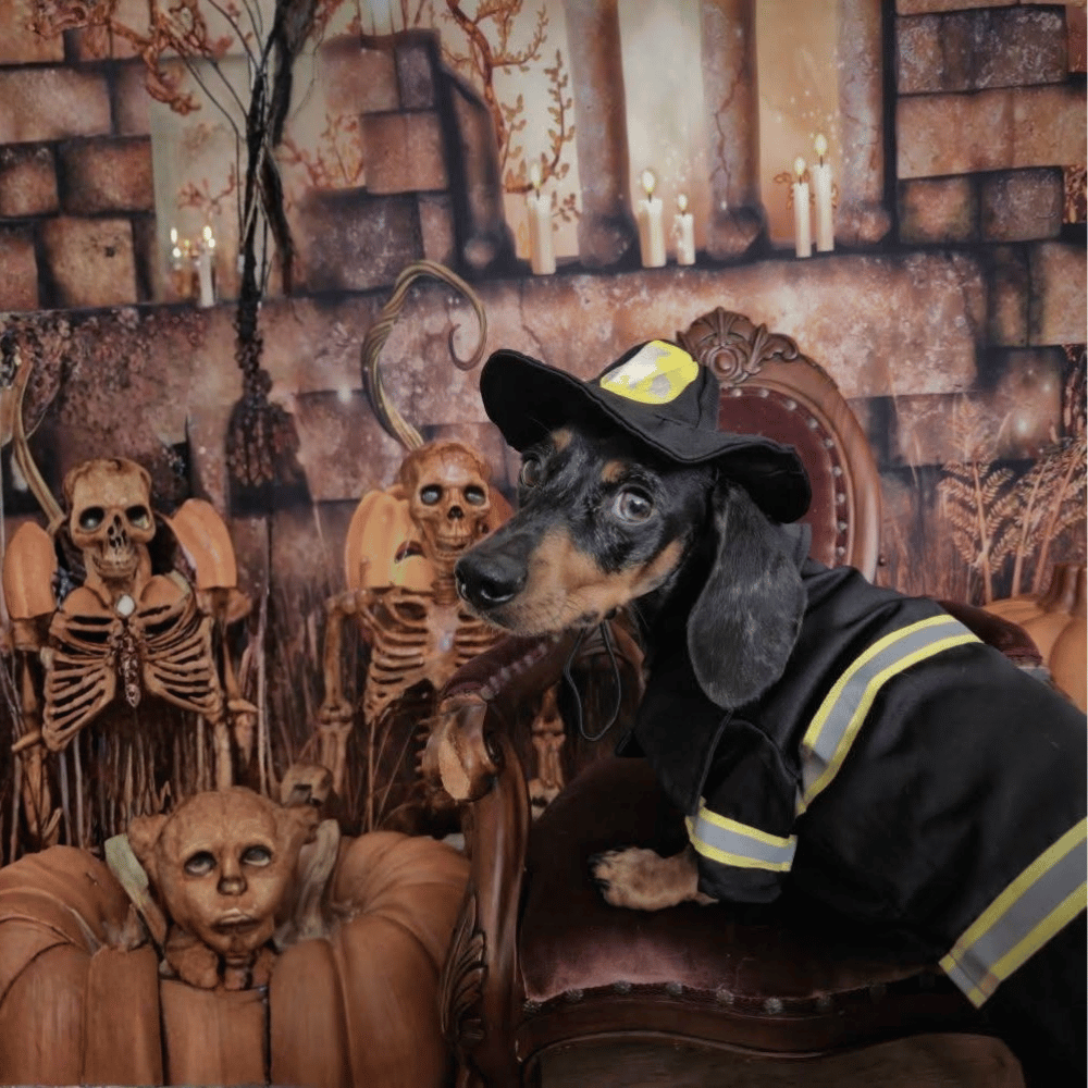 Fire Fighter Dog Costume