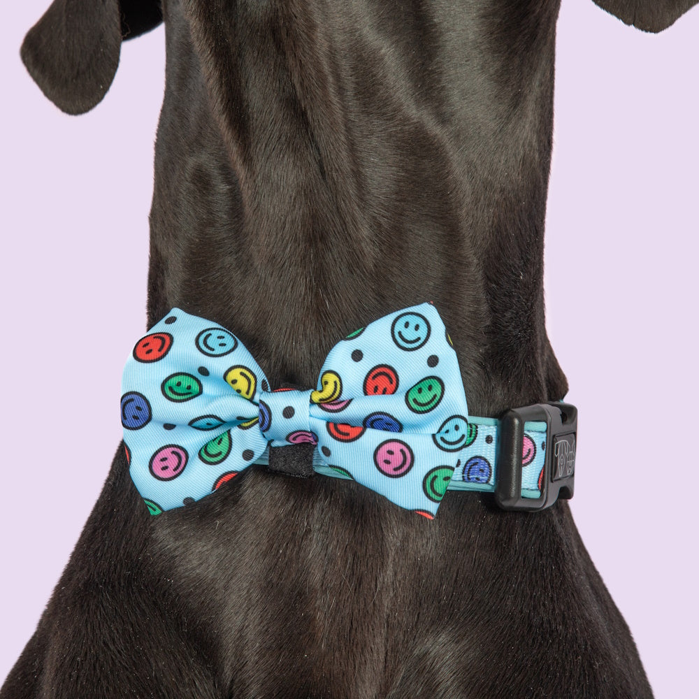 Big & Little Dogs Be Happy Collar & Bow Tie
