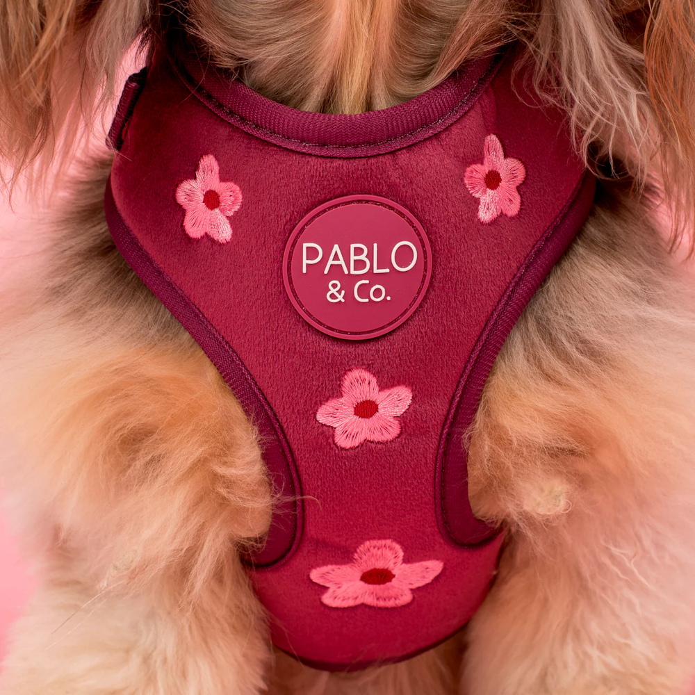 Pablo & Co Bloom Baby Bloom Adjustable Harness Velvet