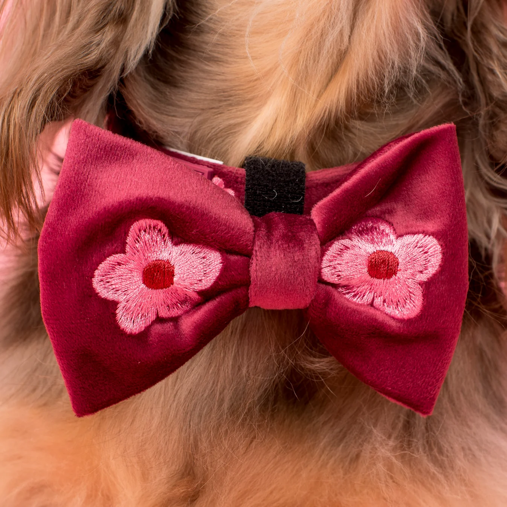 Pablo & Co Bloom Baby Bloom Bow Tie Velvet