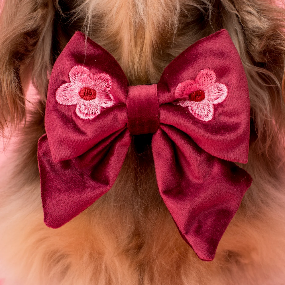 Pablo & Co Bloom Baby Bloom Sailor Bow Velvet