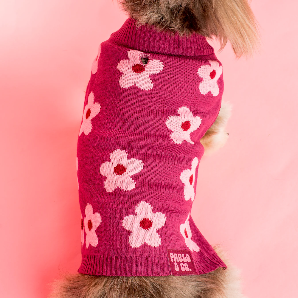 Pablo & Co Bloom Baby Bloom Sweater