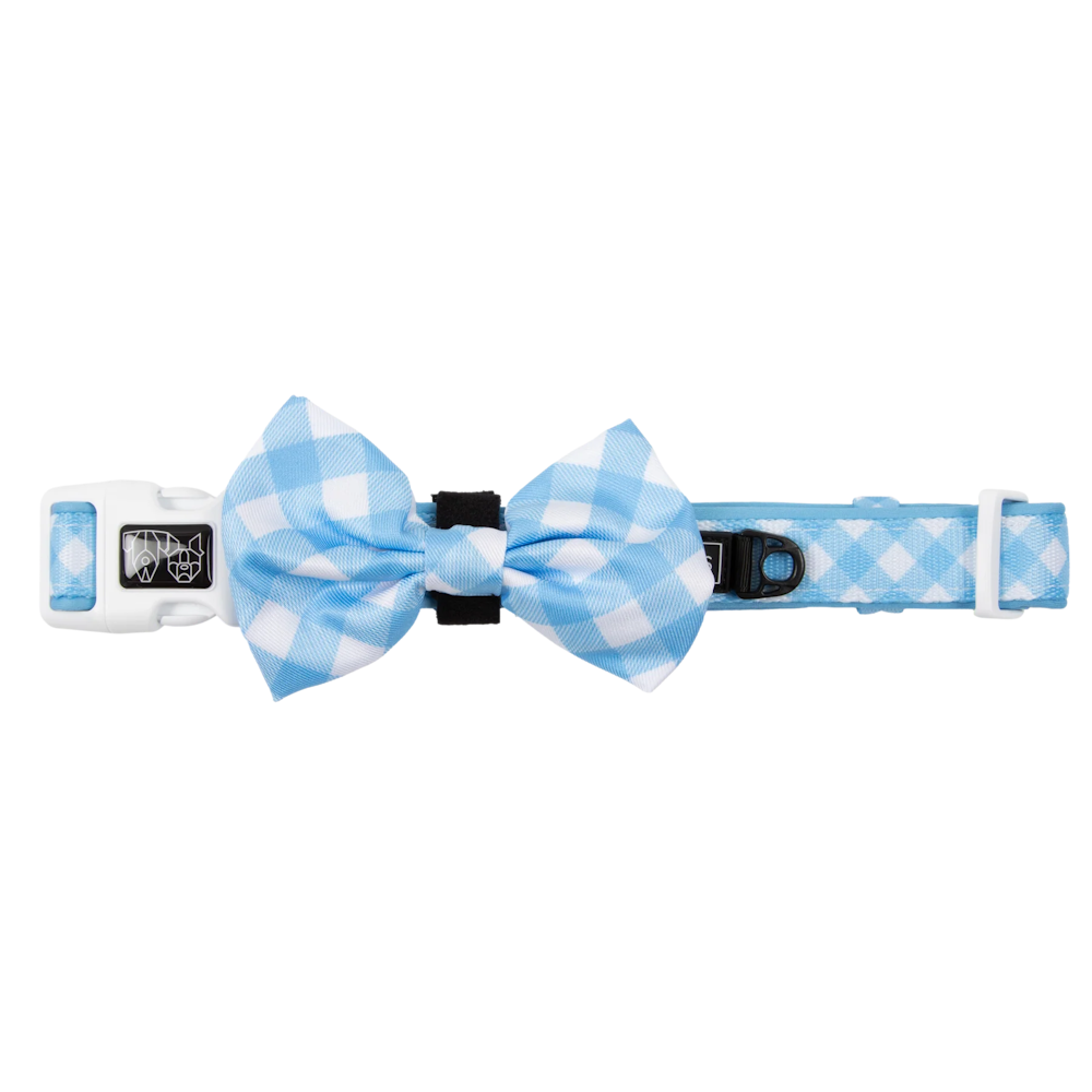 Big & Little Dogs Collar & Bow Tie - Blueberry Gingham