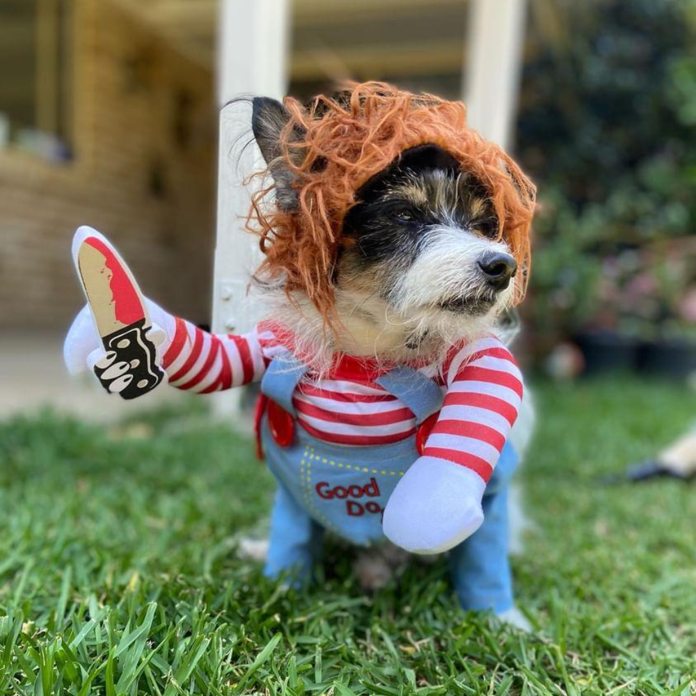 Chucky Dog Costume