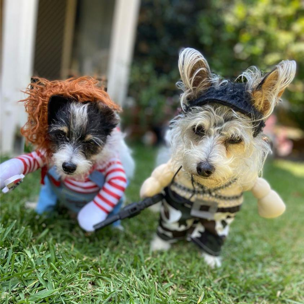 Chucky Dog Costume