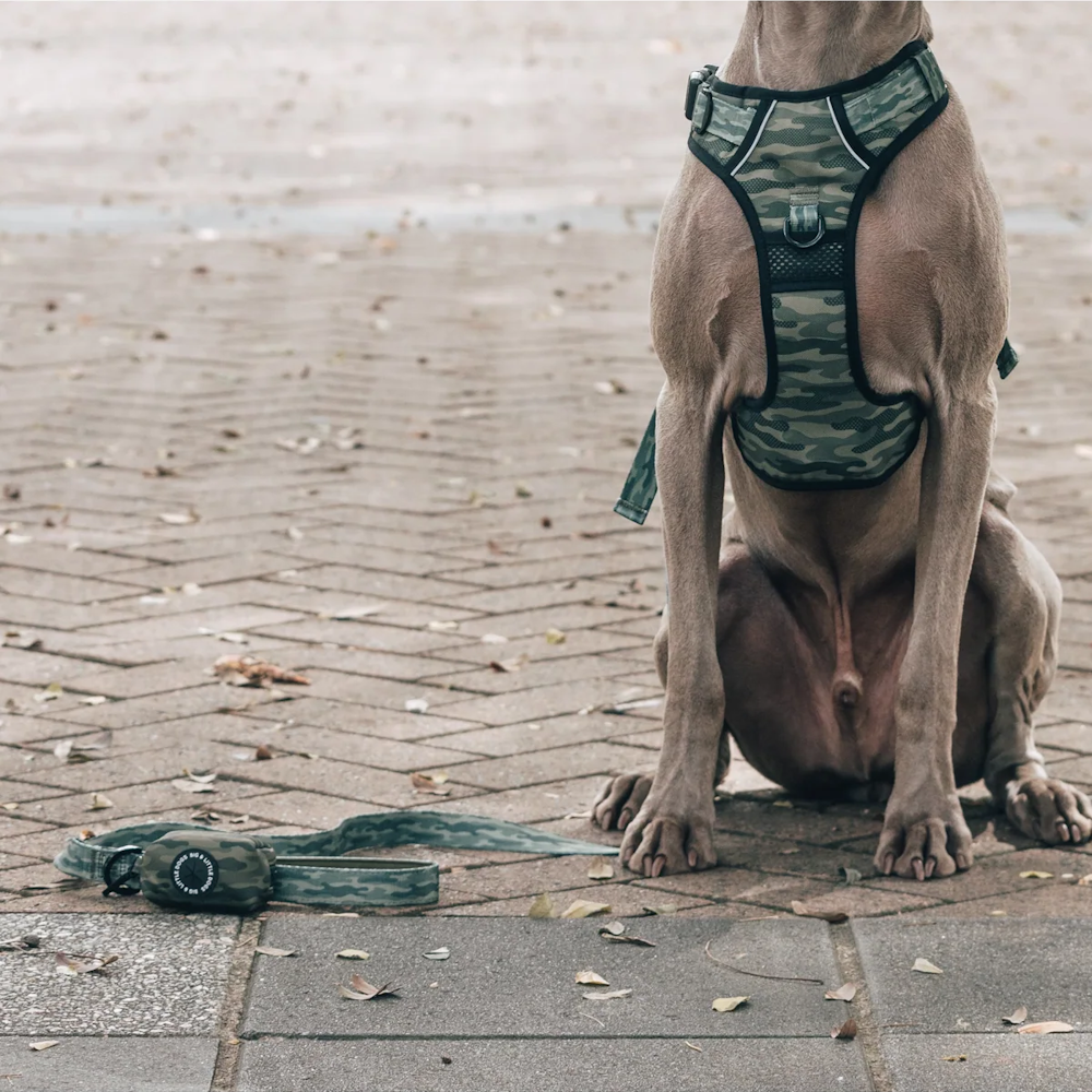 Big & Little Dogs Poop Bag Holder: Camouflaged