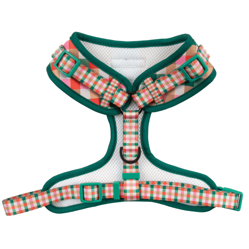 Big & Little Dogs Candy Lane Plaid Adjustable Harness