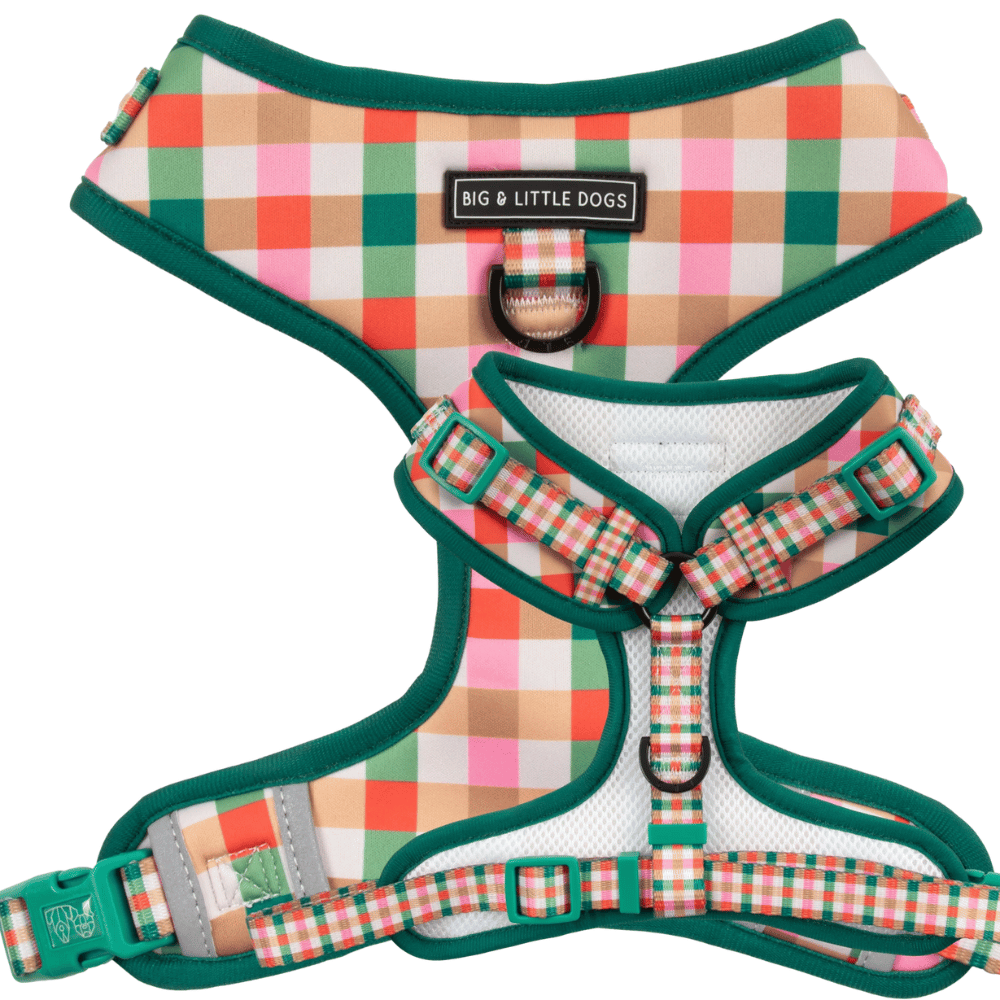 Big & Little Dogs Candy Lane Plaid Adjustable Harness