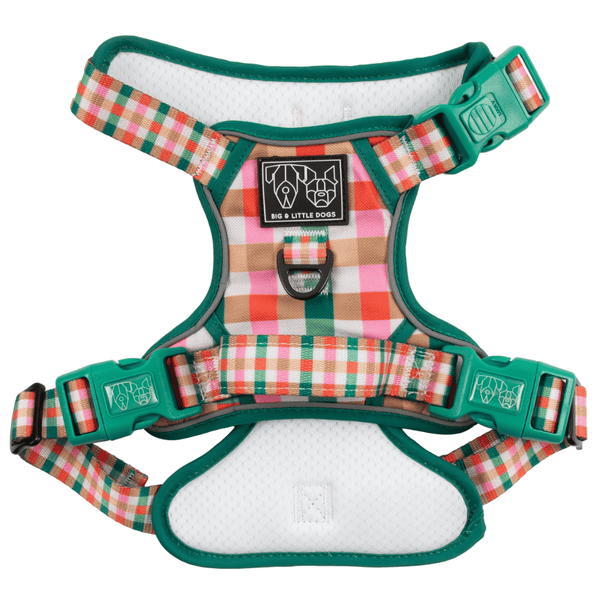 Big & Little Dogs Candy Lane Plaid All Rounder Harness