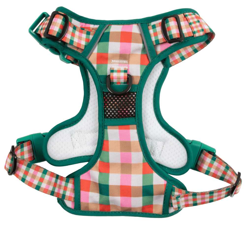 Big & Little Dogs Candy Lane Plaid All Rounder Harness