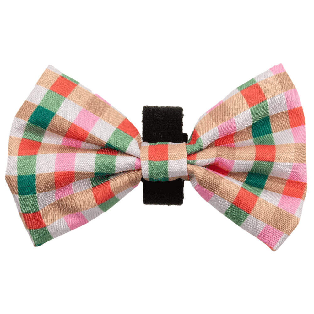 Big & Little Dogs Candy Lane Plaid Collar & Bow Tie