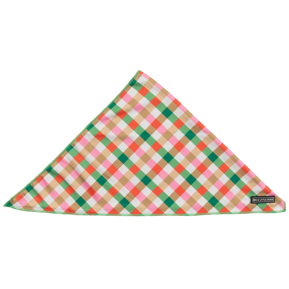 Big & Little Dogs Candy Lane Plaid Dog Bandana