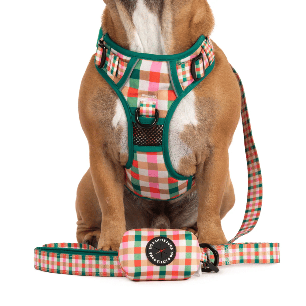 Big & Little Dogs Candy Lane Plaid Poop Bag Holder