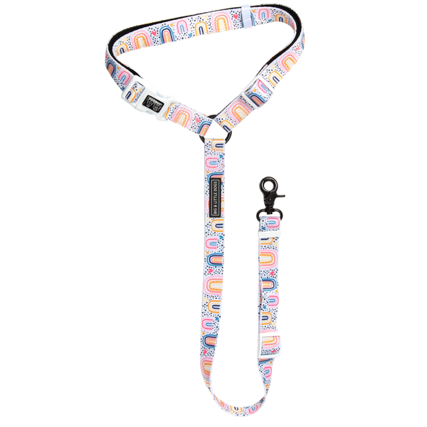 Big & Little Dog Premium Car Headrest Restraint: Chasing Rainbows