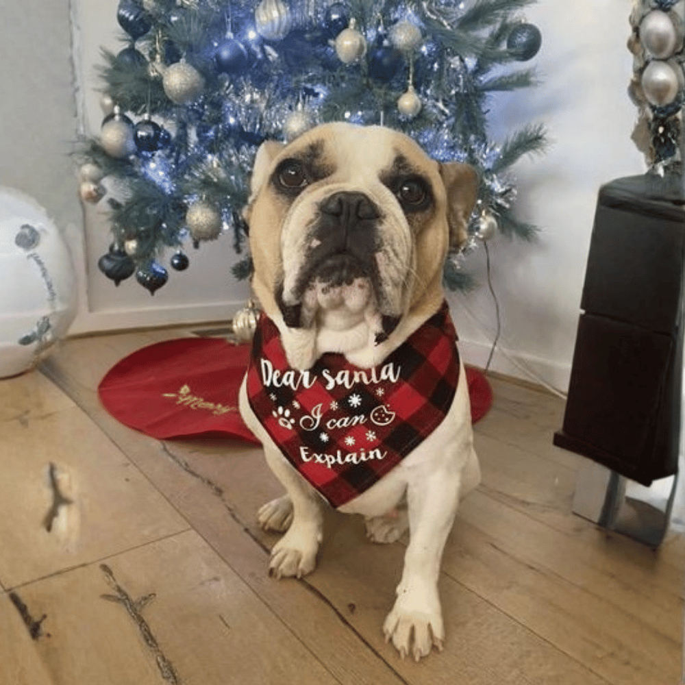 Dear Santa I Can Explain Red Plaid Bandana