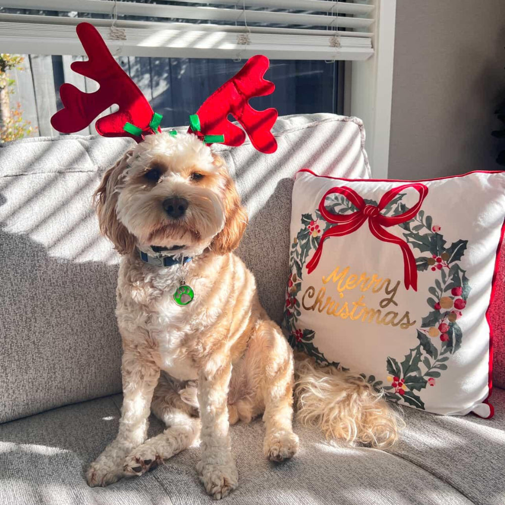 Reindeer Antlers Dog Headpiece