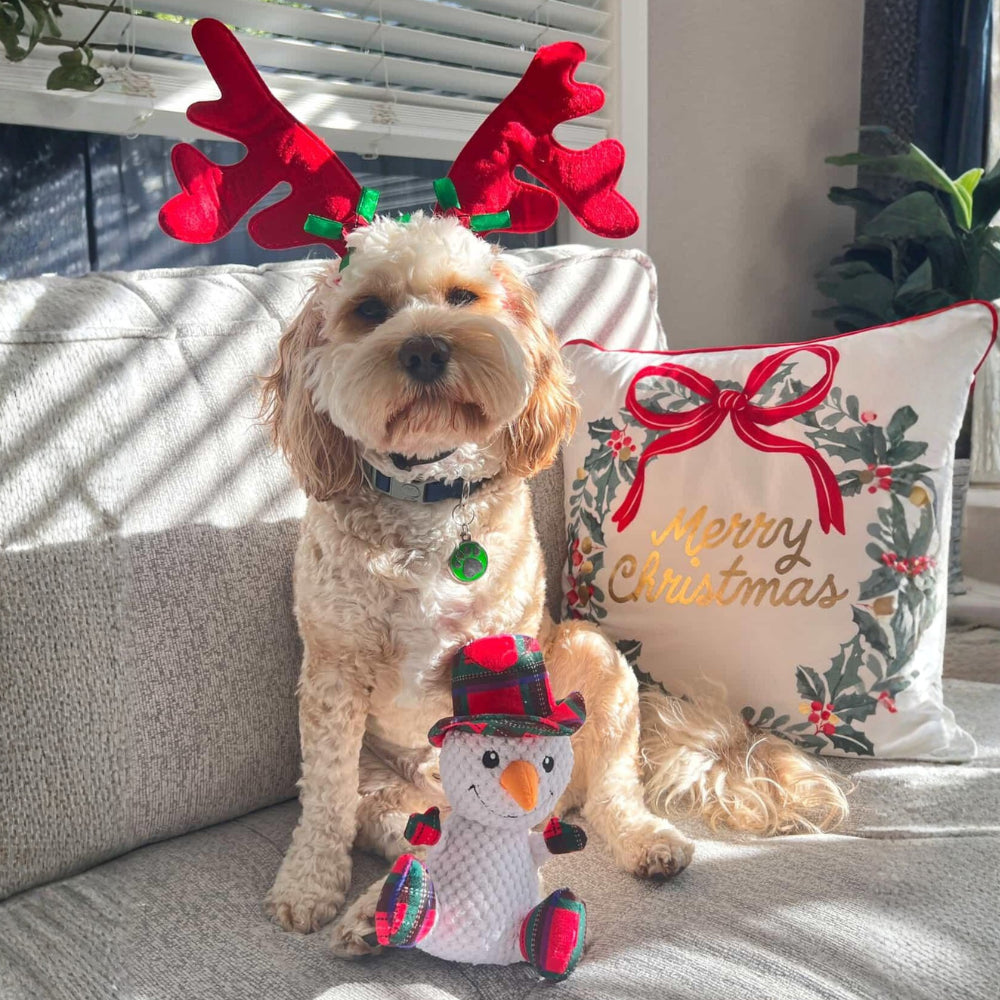 Snowman Plush Plaid Dog Toy