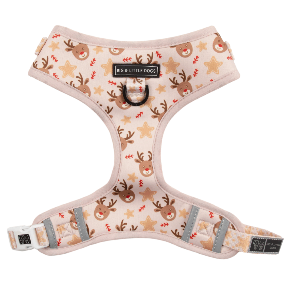 Big & Little Dogs Dashing Through The Stars Adjustable Harness