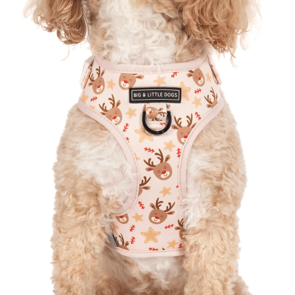 Big & Little Dogs Dashing Through The Stars Adjustable Harness