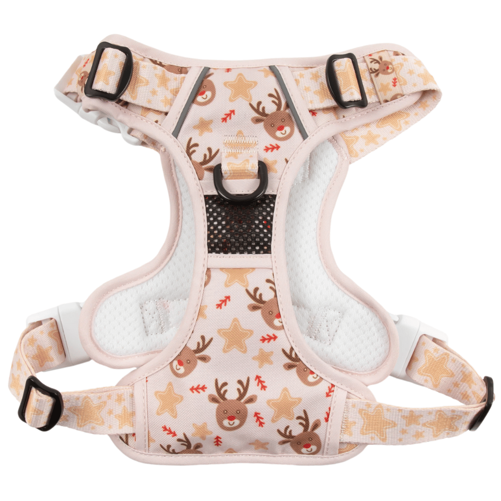 Big & Little Dogs Dashing Through The Stars All Rounder Harness
