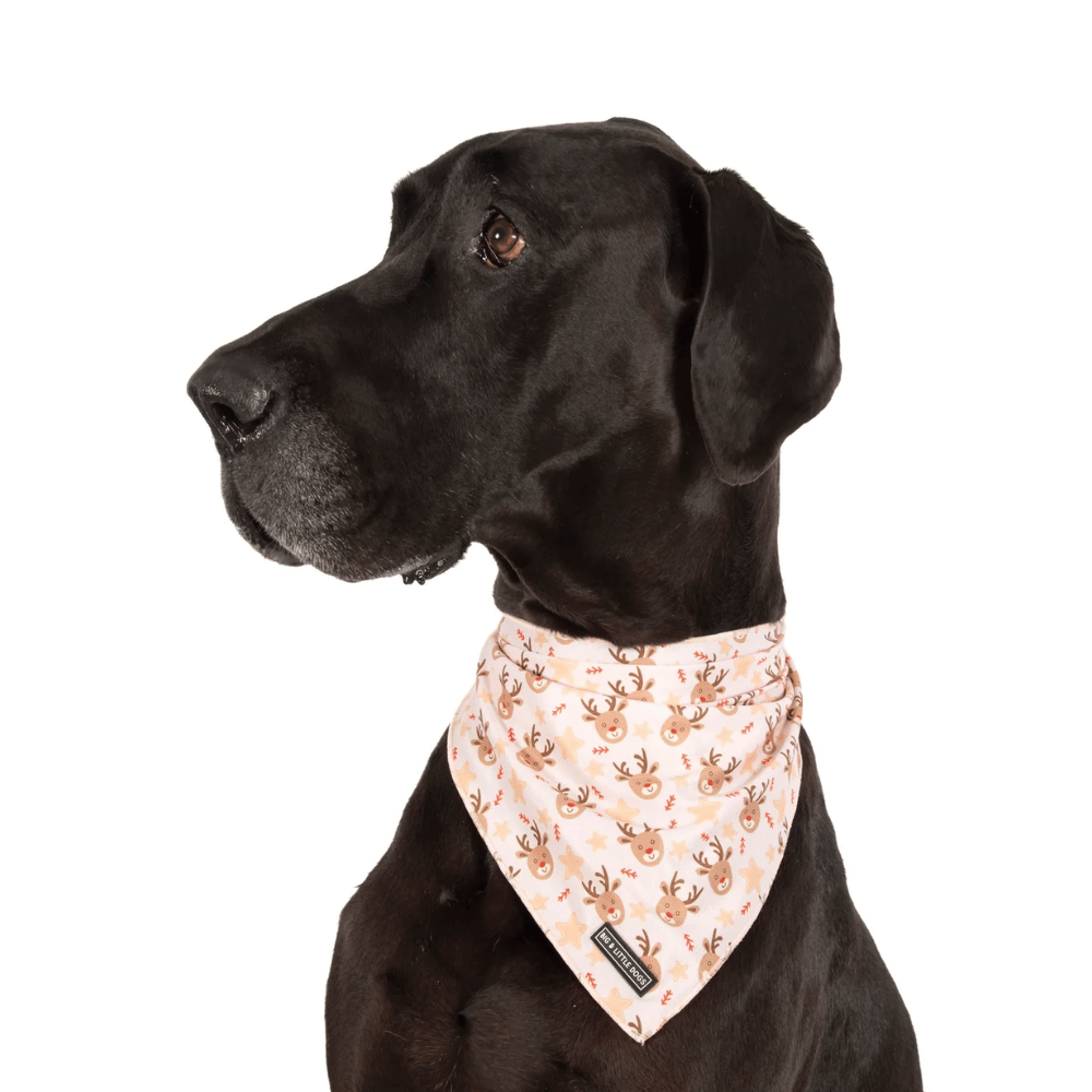 Big & Little Dogs Dashing Through The Stars Dog Bandana