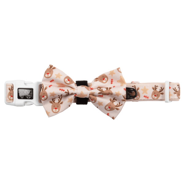 Big & Little Dogs Dashing Through The Stars Collar & Bow Tie
