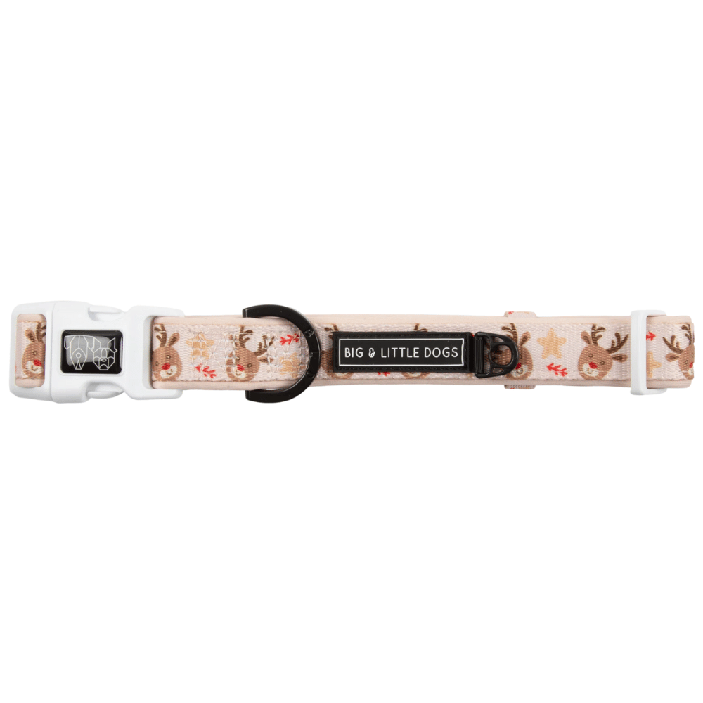 Big & Little Dogs Dashing Through The Stars Collar & Bow Tie