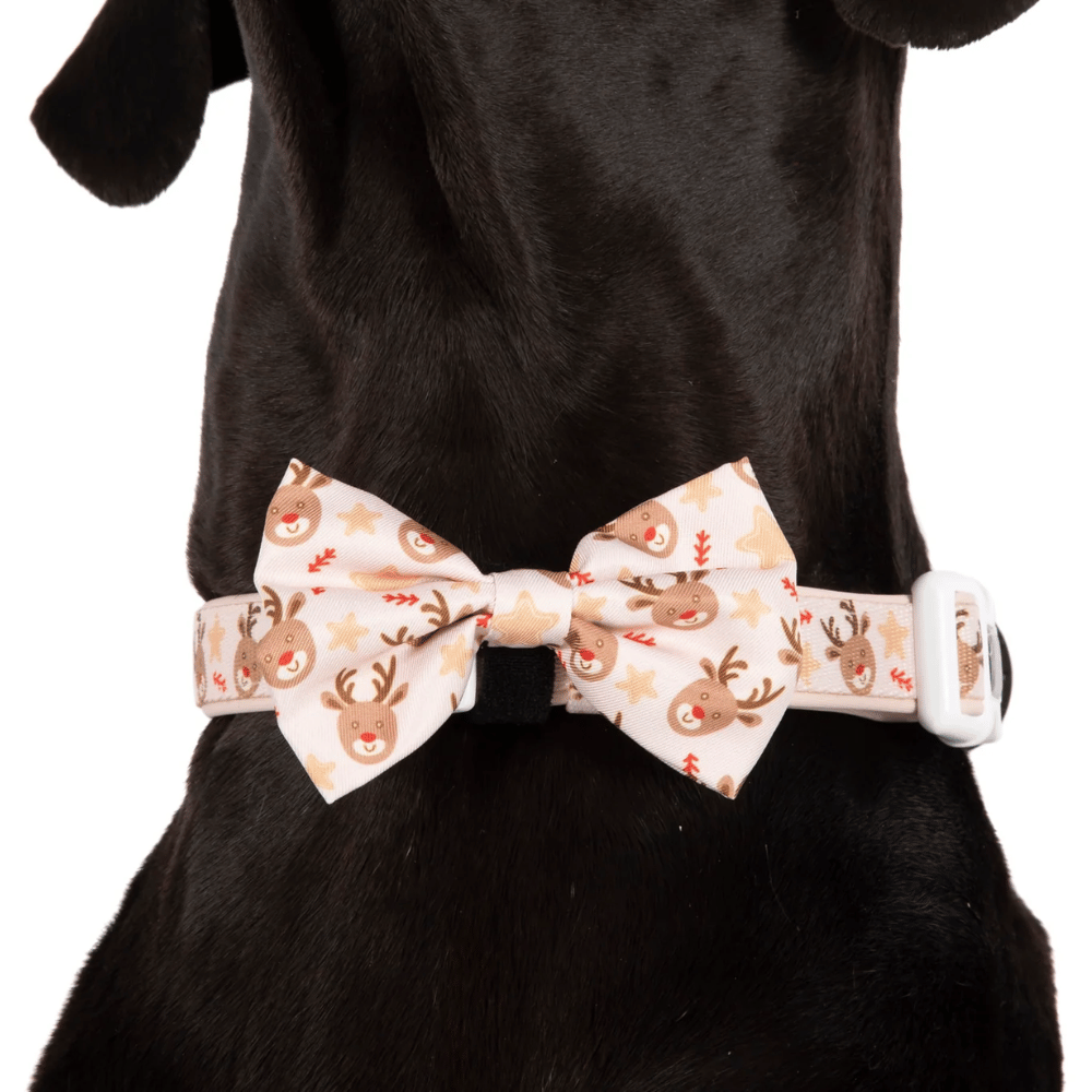 Big & Little Dogs Dashing Through The Stars Collar & Bow Tie