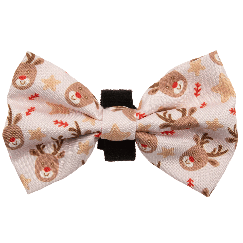 Big & Little Dogs Dashing Through The Stars Collar & Bow Tie