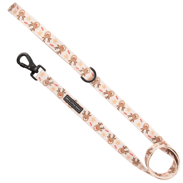 Big & Little Dogs Dashing Through The Stars Dog Leash