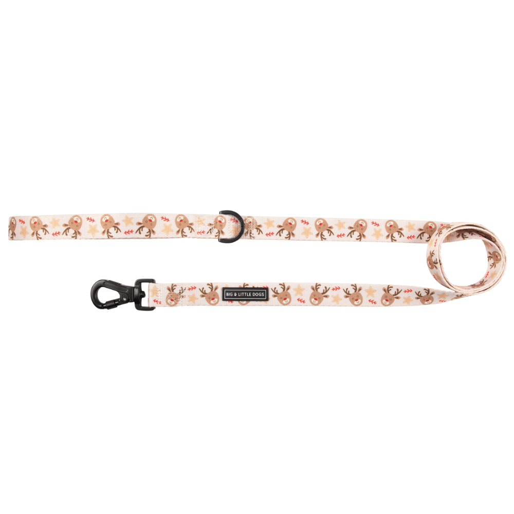 Big & Little Dogs Dashing Through The Stars Dog Leash