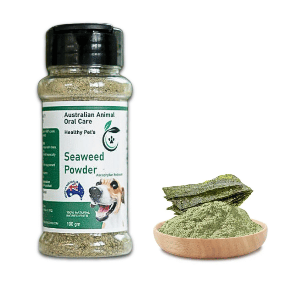 Dental Seaweed Powder - Ascophyllum Nodosum